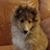 Beki White Vale's profile image