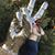 FairBrown Arielle's profile image