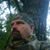 Joe Chandler's profile image