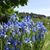 Linda D Young's profile image