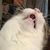 Jill Hansen-Aune's profile image