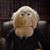 Jason Smock's profile image