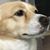 June Price's profile image