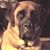 Darinda Adlam's profile image