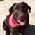 Megan Lindsay Stephens's profile image