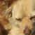 Cristen Astbury's profile image