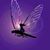 Sherry Cooper Rambo's profile image