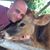 Robert James's profile image