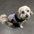 Richard Mojica's profile image