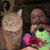Jason Lewis's profile image