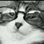 Mary Strouse's profile image