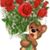 Angelica Sanchez's profile image