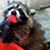 David Coon's profile image