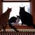 Deanna Hohman Thomas's profile image