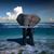 Juan J Lopez's profile image