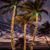 Lesley Hartman's profile image