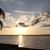 Lisa Crone's profile image