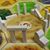 Charity Miers's profile image