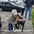 Dianne Leigh Chesser's profile image