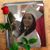 Beth Wilson Fiting's profile image