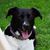Karen Burke's profile image