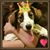 Jennifer Kress's profile image