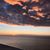 Lynn Petersen's profile image