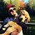 Ryan Albert's profile image
