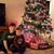 Dianne Perko's profile image