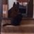 Daryl Higby's profile image
