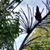 Deb Endres Statz's profile image