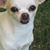 Mark Greene's profile image