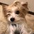 Cynthia Daniels's profile image