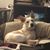 Stephanie Anne Marrero's profile image