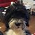 Cindy Alford's profile image
