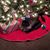 Shari Radke Lentsch's profile image