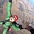 Ryan Hester's profile image