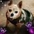 Barbara Diana's profile image