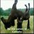 Javier Galvan's profile image