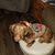 Janice Spurlin's profile image