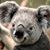 Gerald Gilbert's profile image