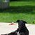 Katie Sier's profile image