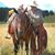 Wayne Lenfesty's profile image