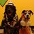 Bonnie Voyda's profile image
