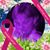 Laquita Centeno's profile image