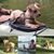 Kelly McCorkle's profile image