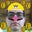 Shawn Phillippi's profile image