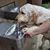 Noreen Dunnells's profile image