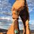 Stuart Allum's profile image