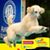 Angie Louter's profile image